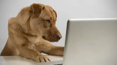 OpenAI ønsker vagthund for ChatGPT