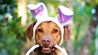 Easter